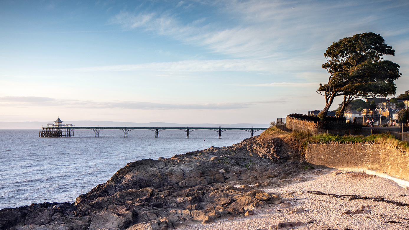 Clevedon Pier and tree